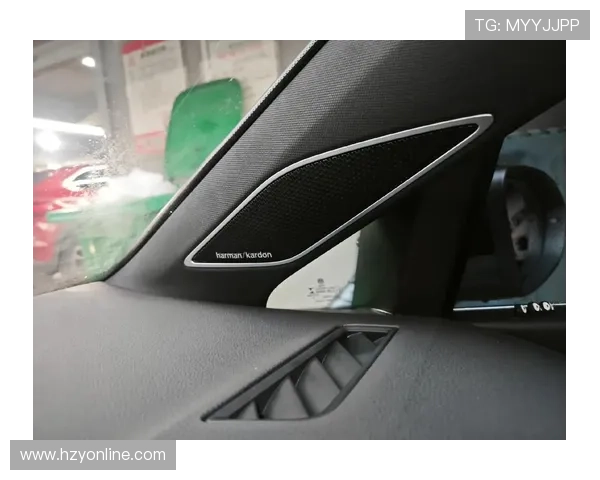 10个扬声器_4种模式 第八代高尔夫配哈曼卡顿音响